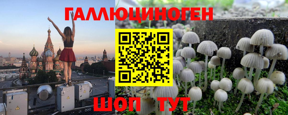 Воркута  Псилоцибиновые грибы мицелий  Псилоцибиновые грибы Magic Shrooms  Вход с VPN 