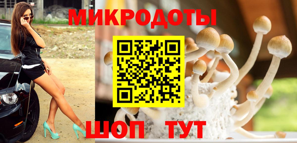 Галлюциногенные грибы MAGIC MUSHROOMS Воркута
